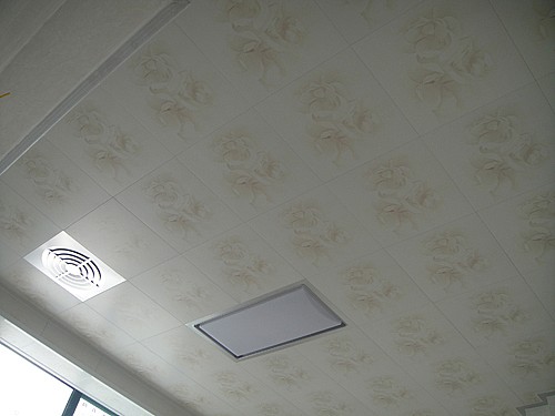 顶上风光我家秀——合肥（一）