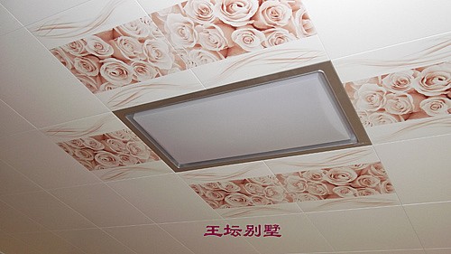 绍兴客户吊顶秀-情迷波尔多